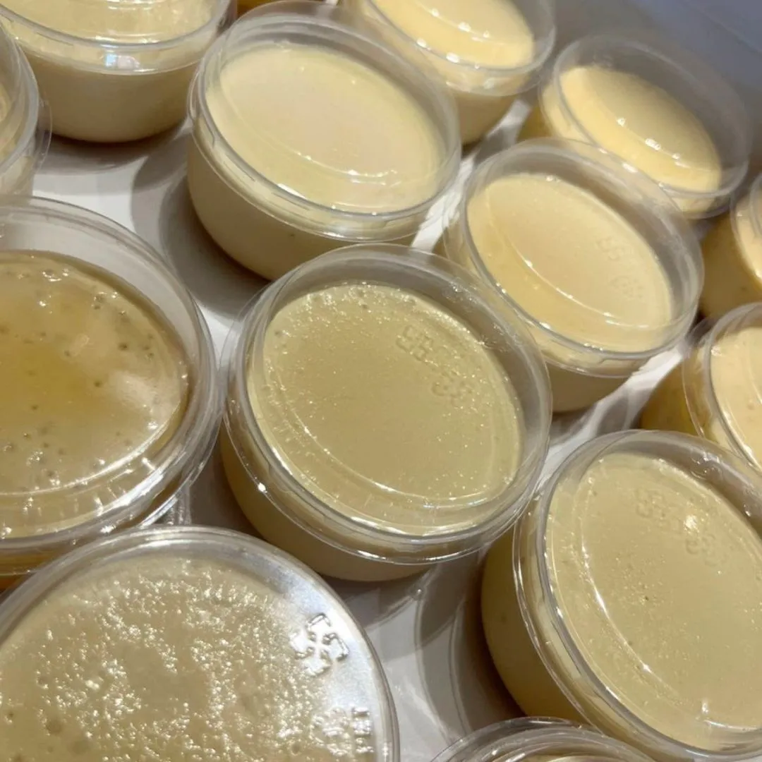 Pudding Caramel Cup