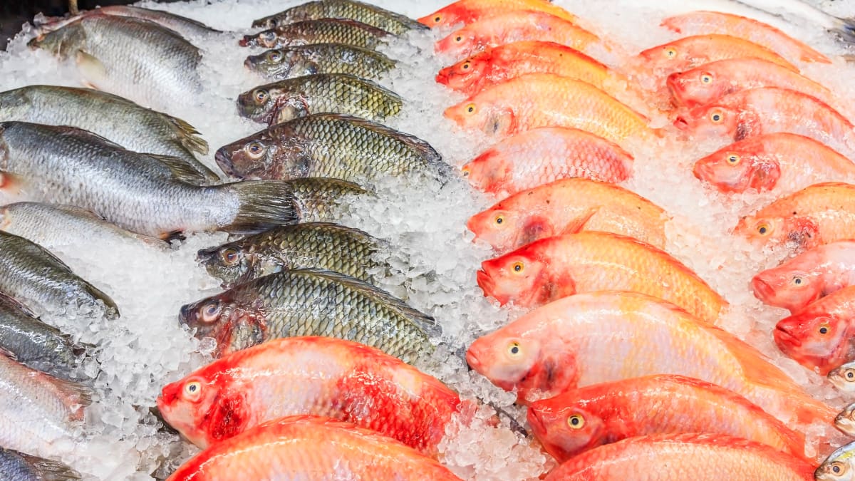 Federal Requirements Drive Successful Redesign