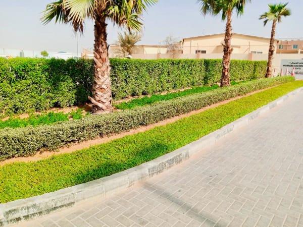 Garden and landscape maintenance works at Dubai Industrial City Labour Village 1 - Image 6