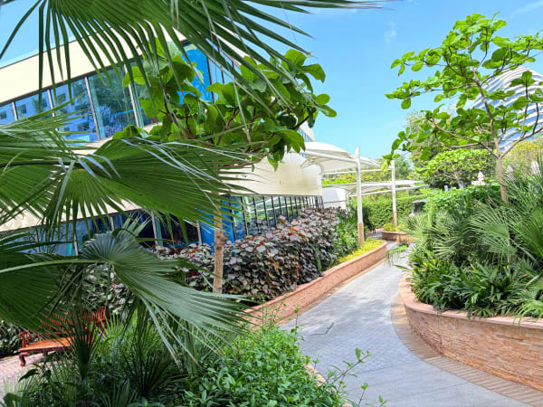 Buggy track pathway design and construction at Jumeirah Bay Hotel Dubai - Image 4