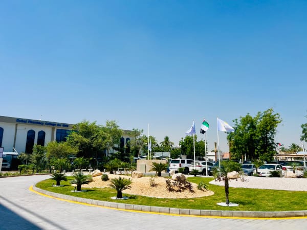 Landscape and hardscape construction at Dubai Medical University - Image 8