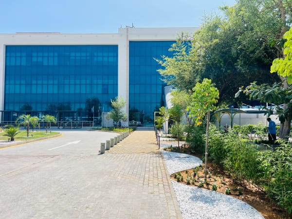 Landscape and hardscape construction at Dubai Medical University - Image 5