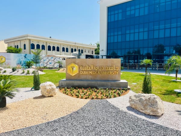 Landscape and hardscape construction at Dubai Medical University - Image 1