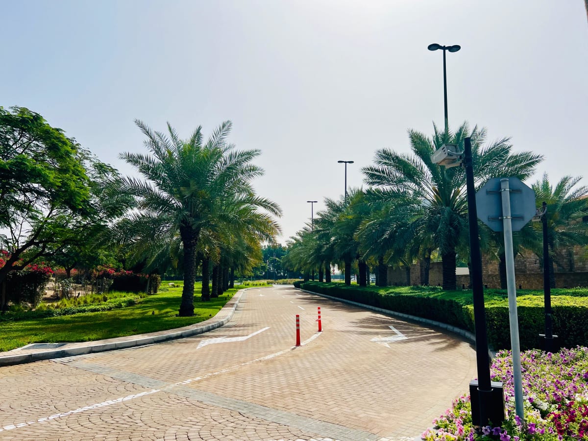 Dubai Outlet Village garden and landscape maintenance project in Dubai - Image 7