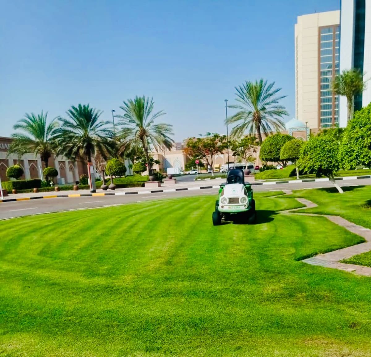 Garden and landscape maintenance works at Ibn Battuta Mall Dubai - Image 7