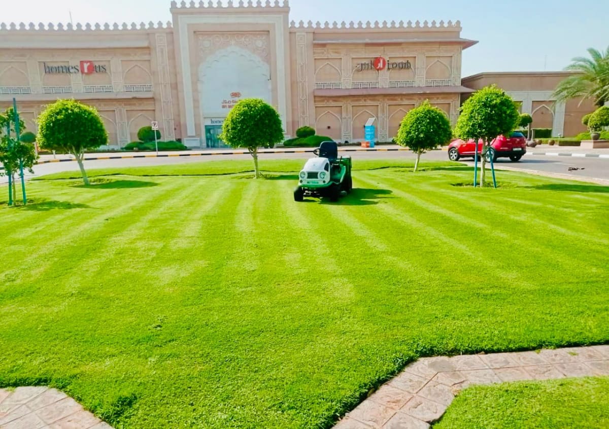 Garden and landscape maintenance works at Ibn Battuta Mall Dubai - Image 4