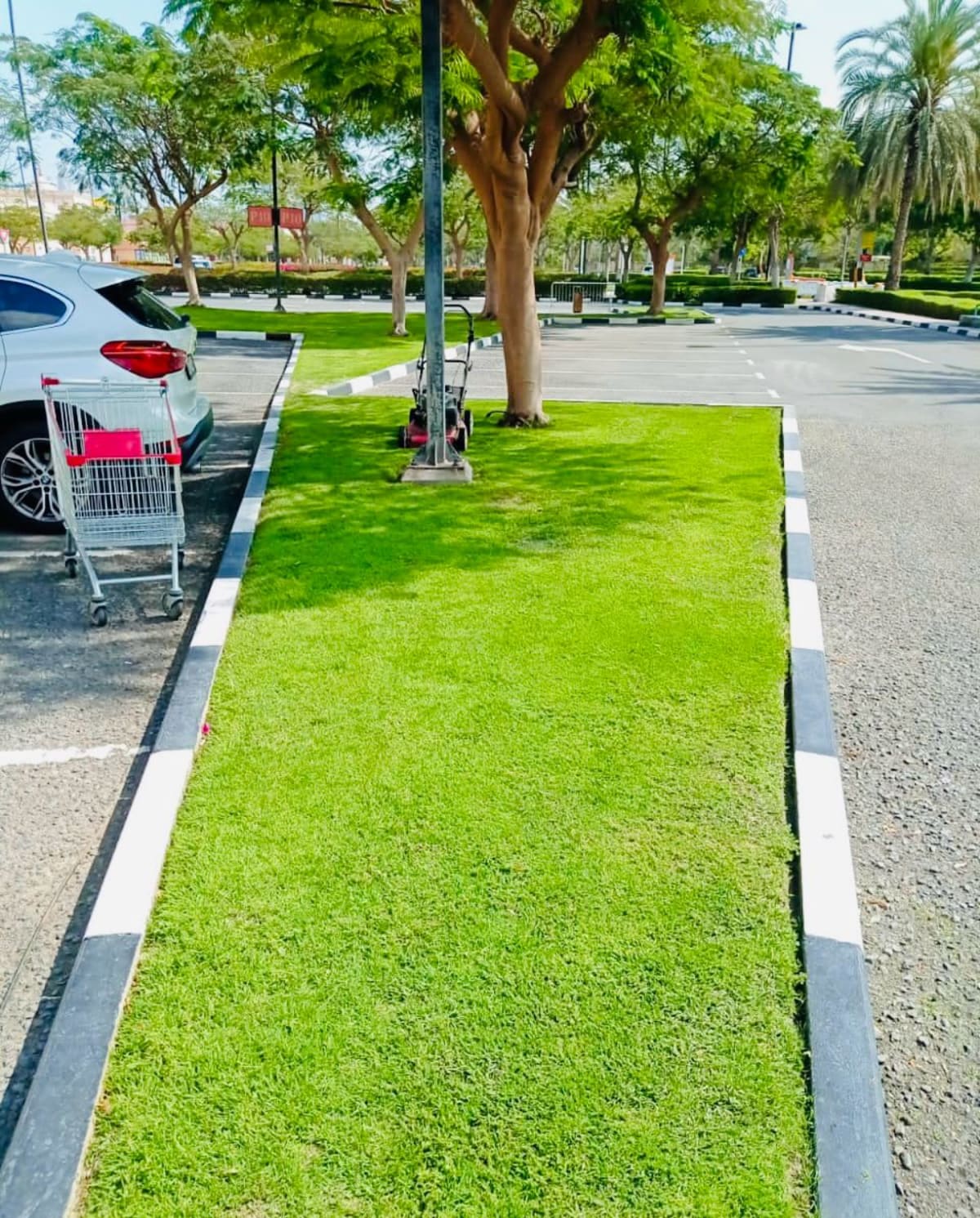 Garden and landscape maintenance works at Ibn Battuta Mall Dubai - Image 3
