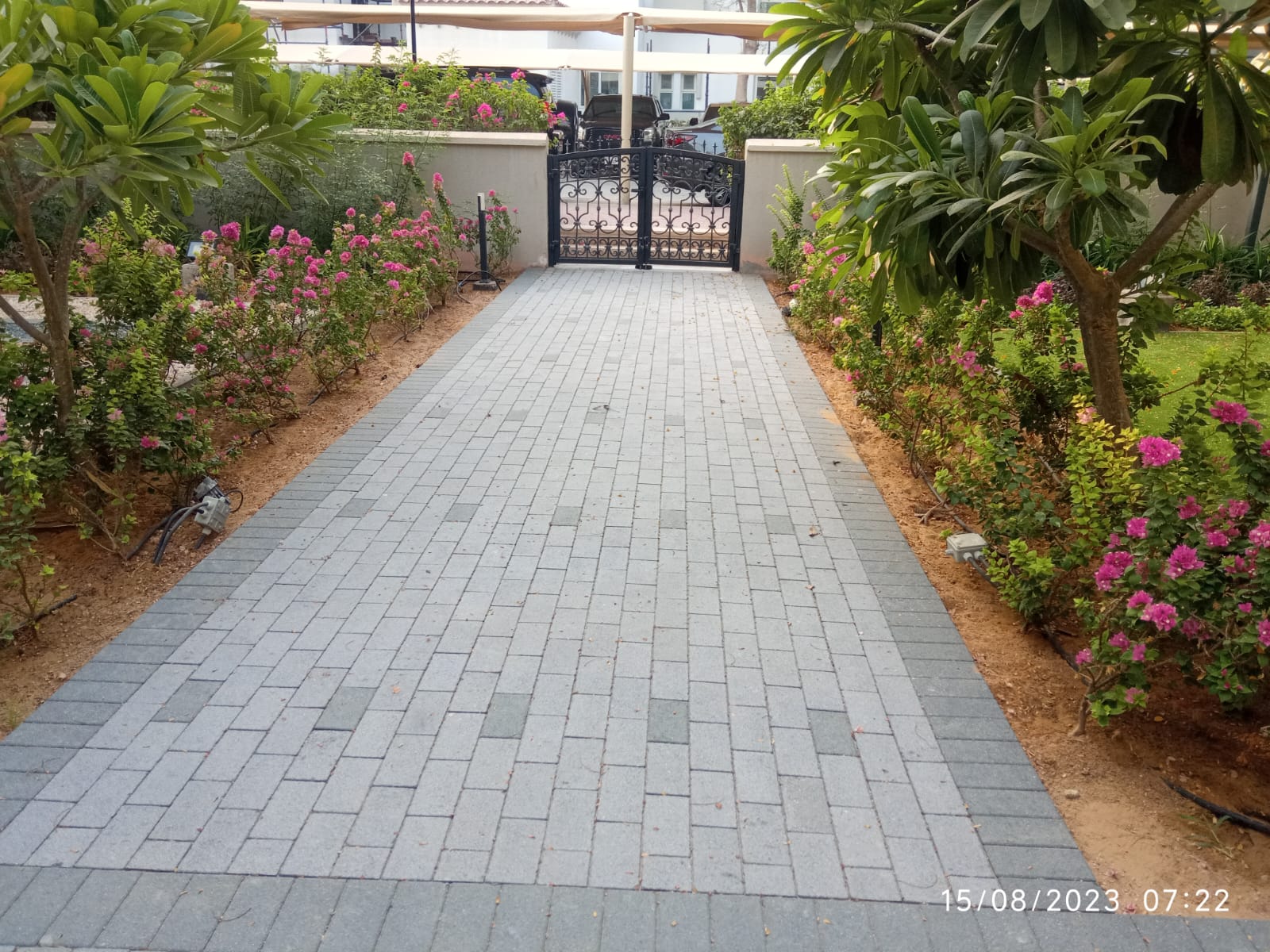 Villa landscape enhancement and interlock paving installation project in Al Barsha Dubai - Image 5