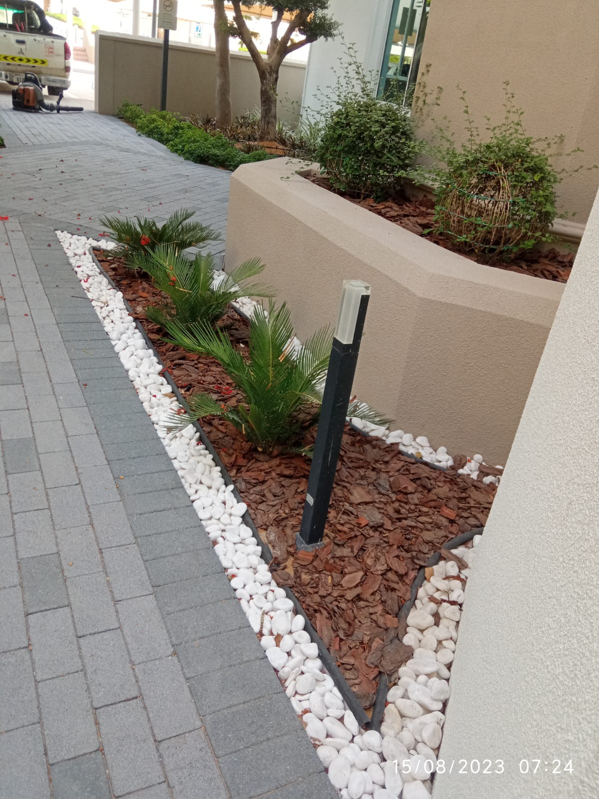 Villa landscape enhancement and interlock paving installation project in Al Barsha Dubai - Image 3