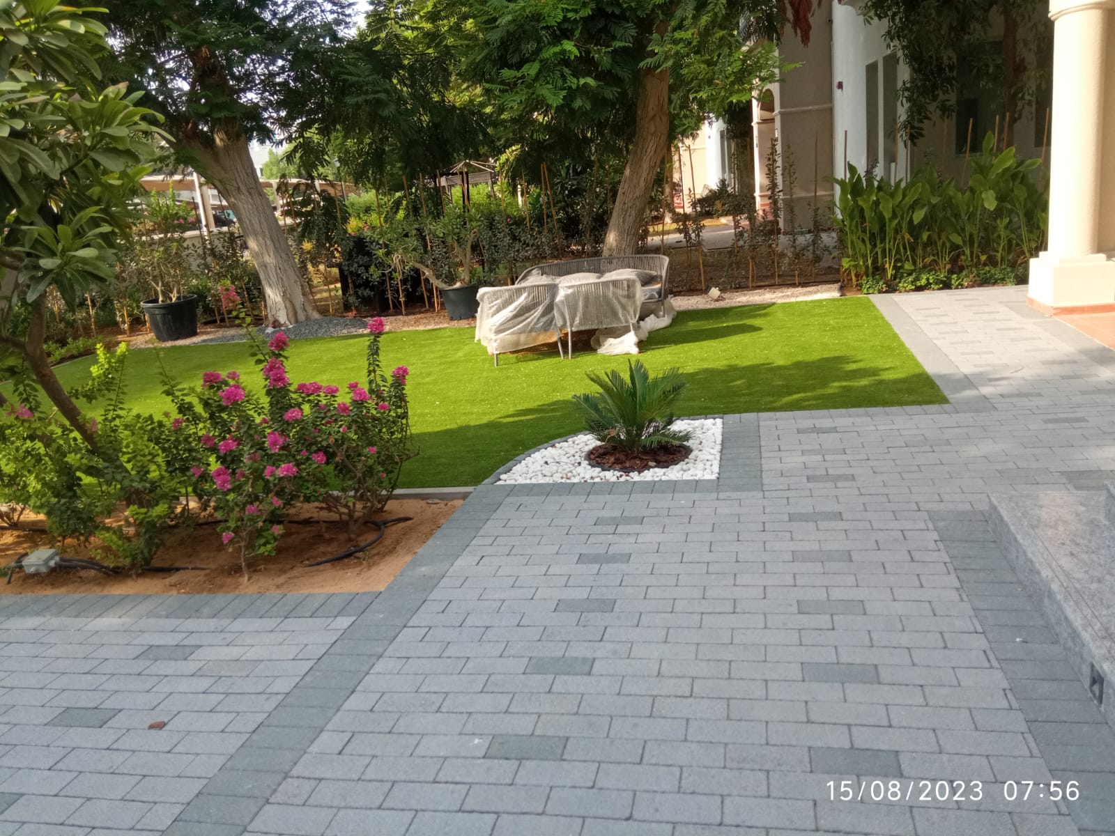 Villa landscape enhancement and interlock paving installation project in Al Barsha Dubai - Image 4