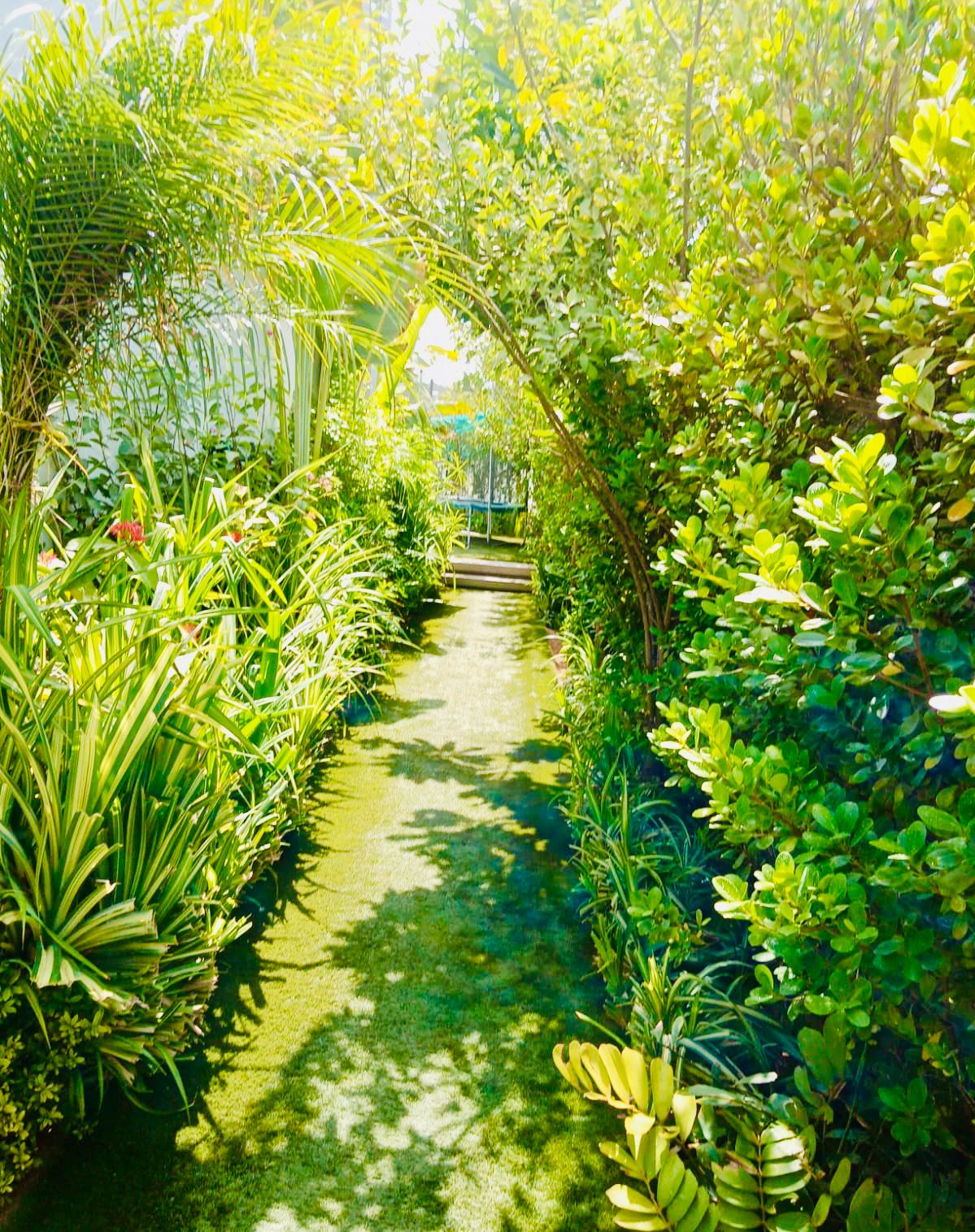 Villa swimming pool construction and landscape project in Dubai Hills Estate Dubai - Photo 1