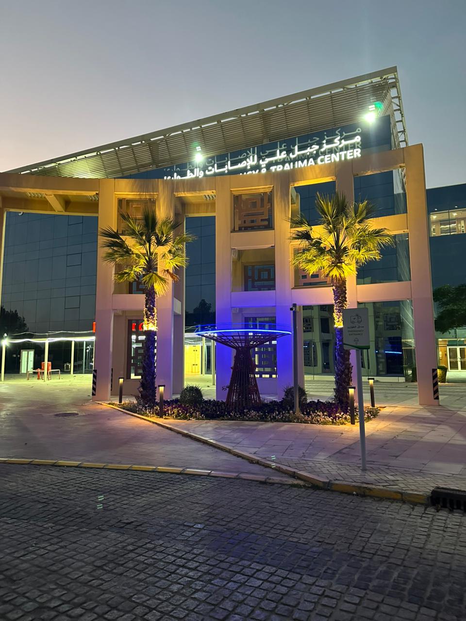 Main entrance landscape upgradation with tree trellis at Dubai Industrial City Head Office - Image 3