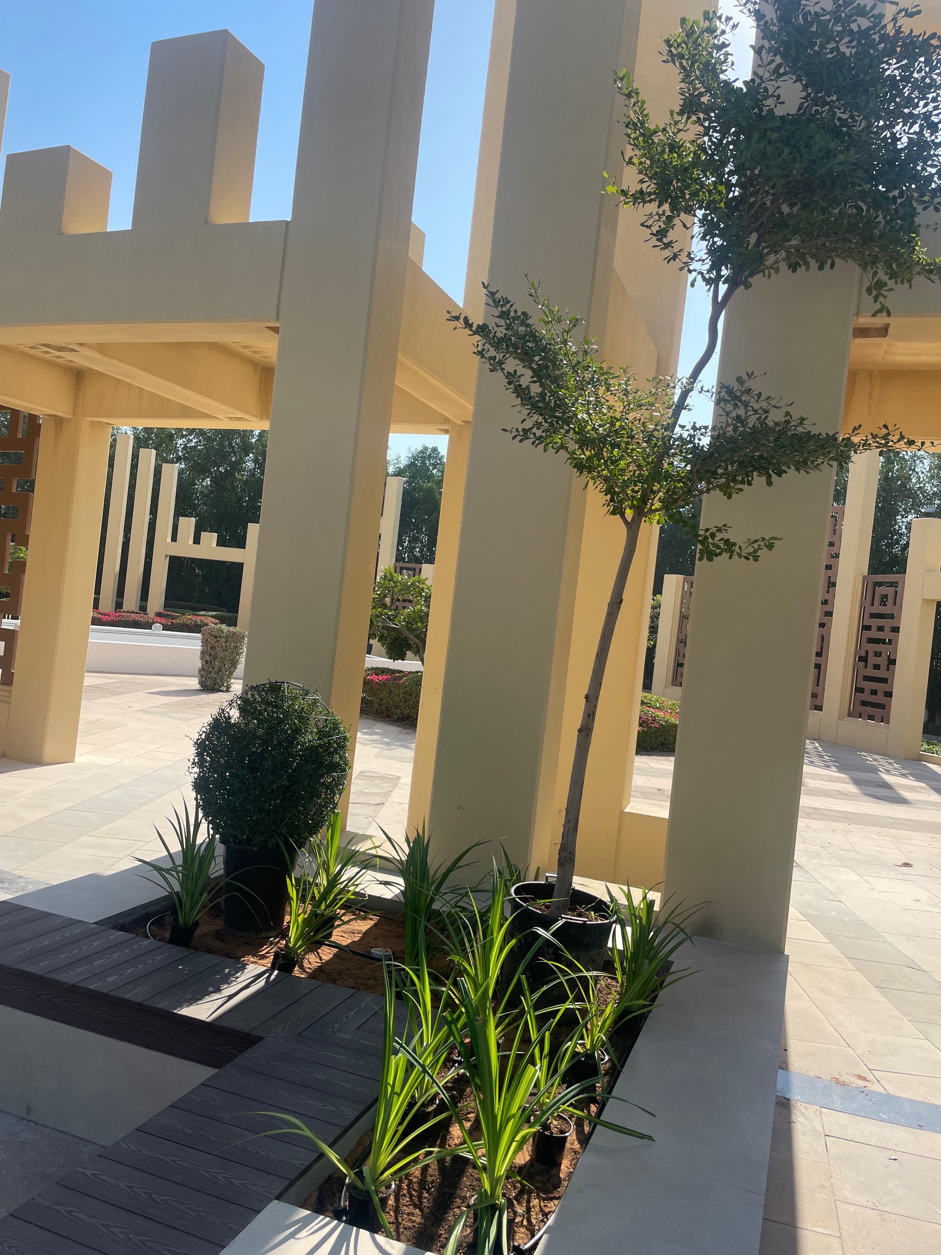 Planter and WPC decking seating installation at Dubai Industrial City Head Office - Image 3