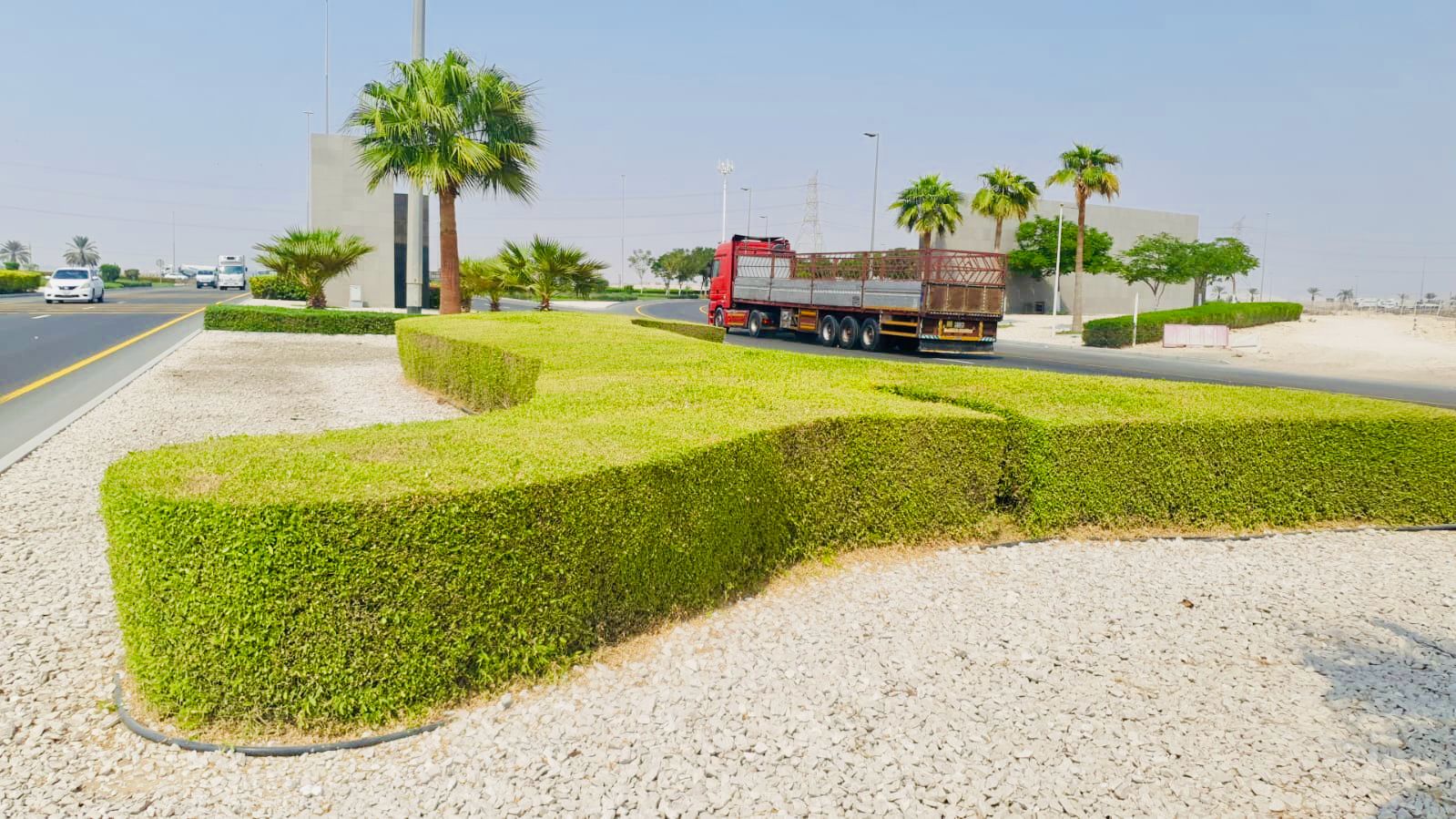 Road and roundabout landscape maintenance project in Dubai Industrial City main road - Photo 3