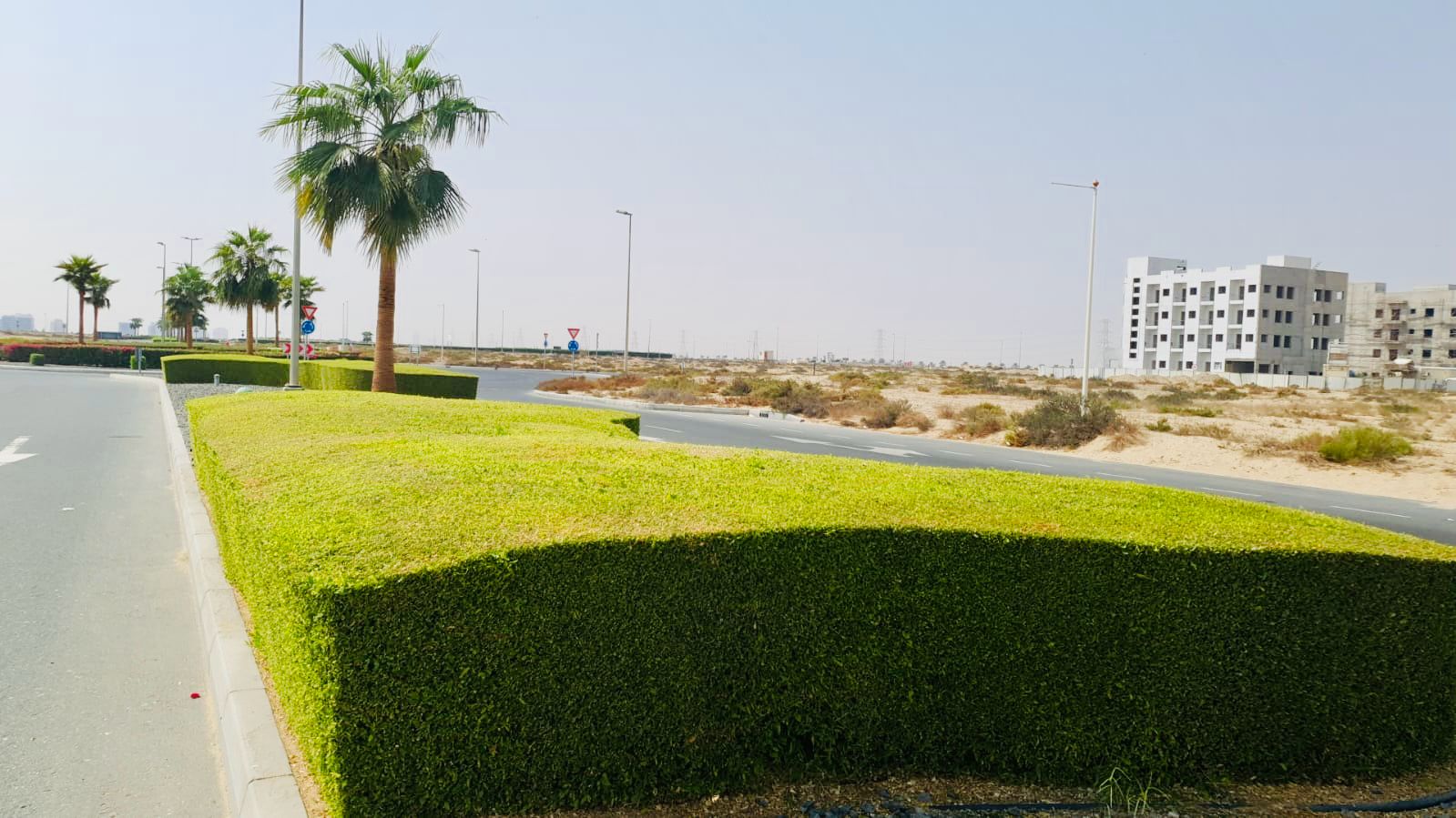 Road and roundabout landscape maintenance project in Dubai Industrial City main road - Photo 2