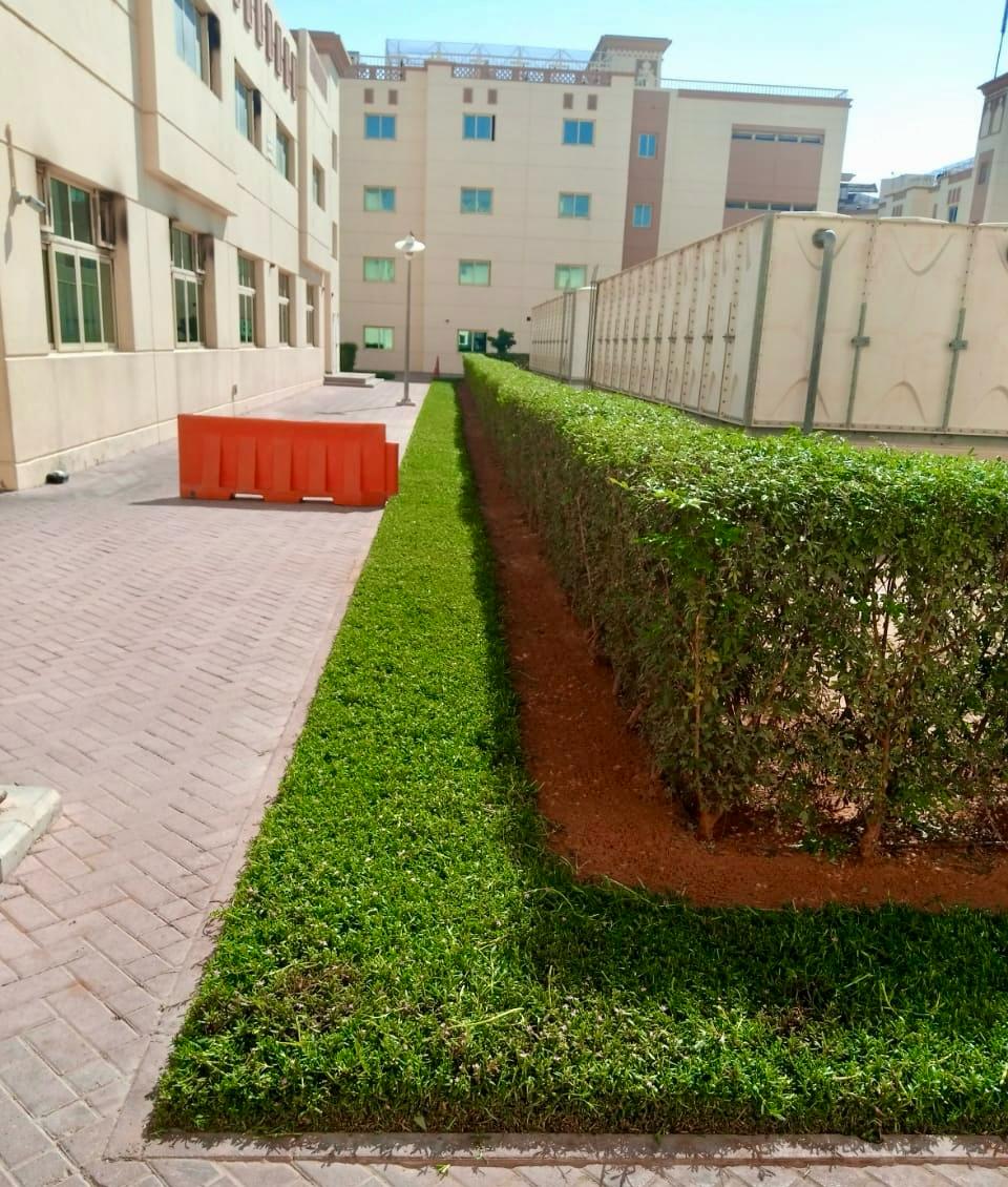 Landscape installation and hardscape works at Labour Village 2 Dubai Industrial City including interlock paving, pergola, and seating areas - Photo 2