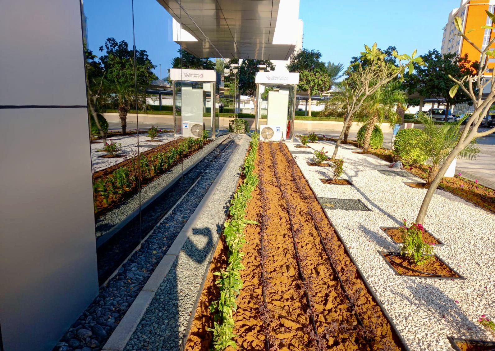 Landscape installation project in Dubai Studio City Dubai - Image 7