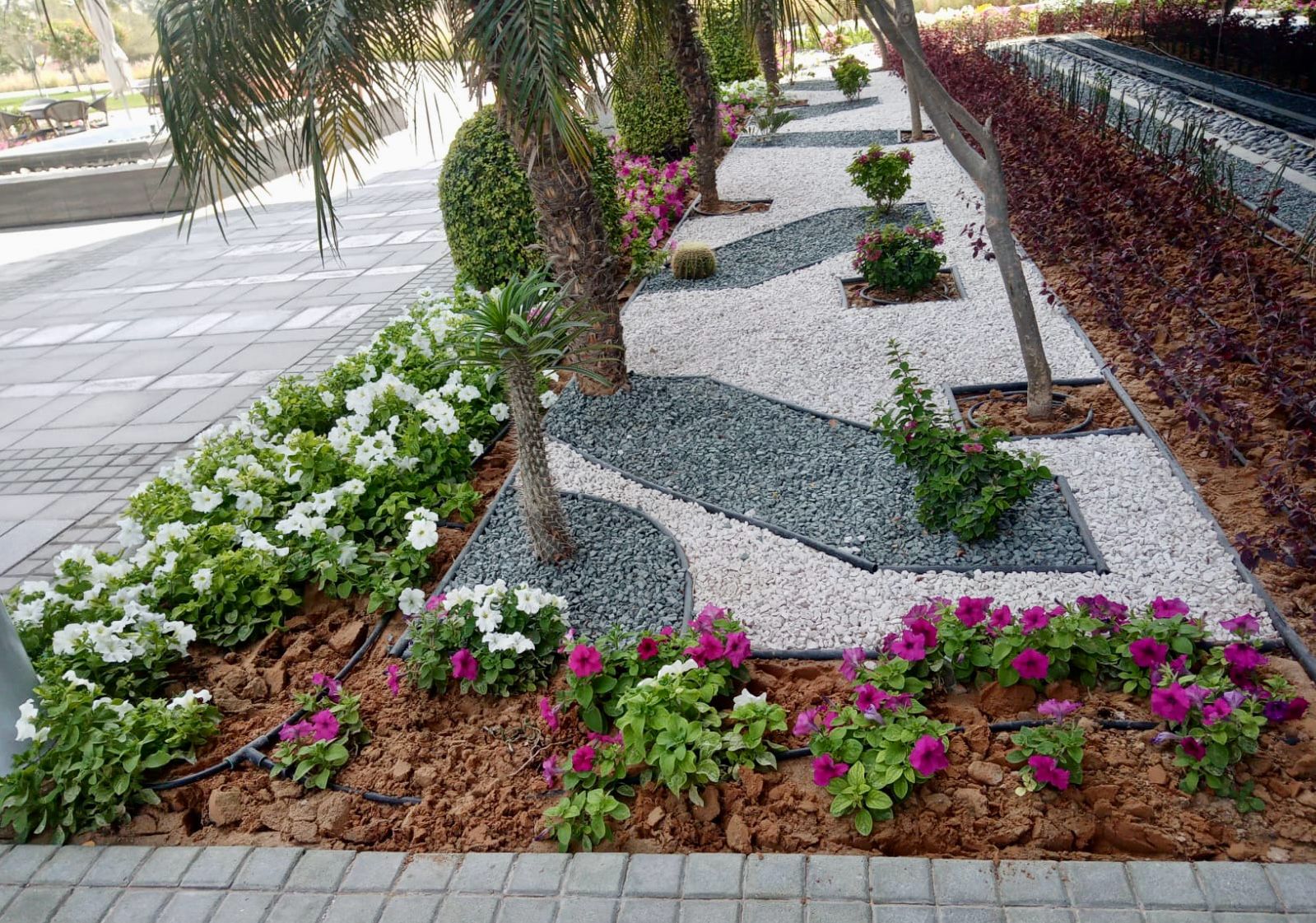 Landscape installation project in Dubai Studio City Dubai - Image 5