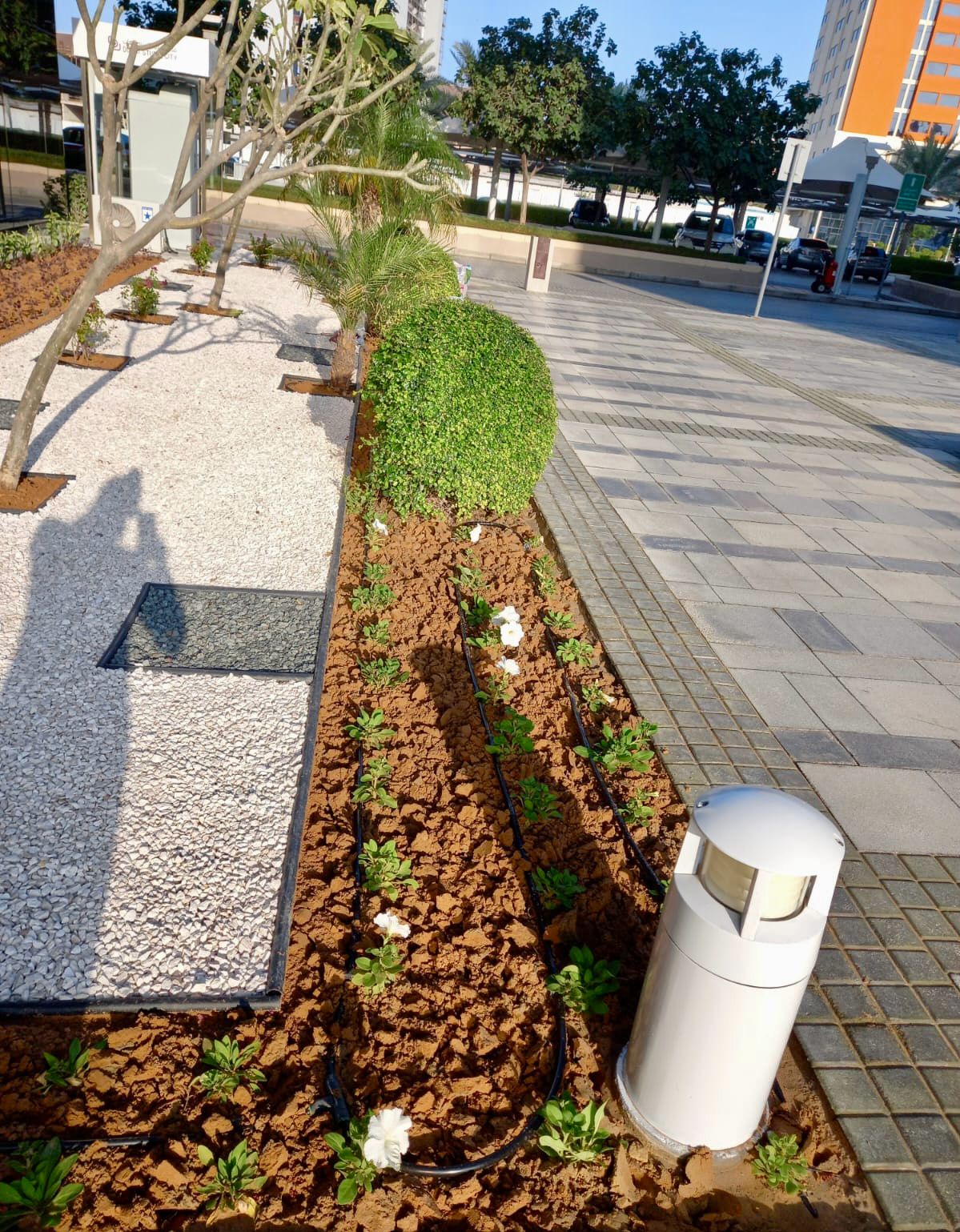 Landscape installation project in Dubai Studio City Dubai - Image 4