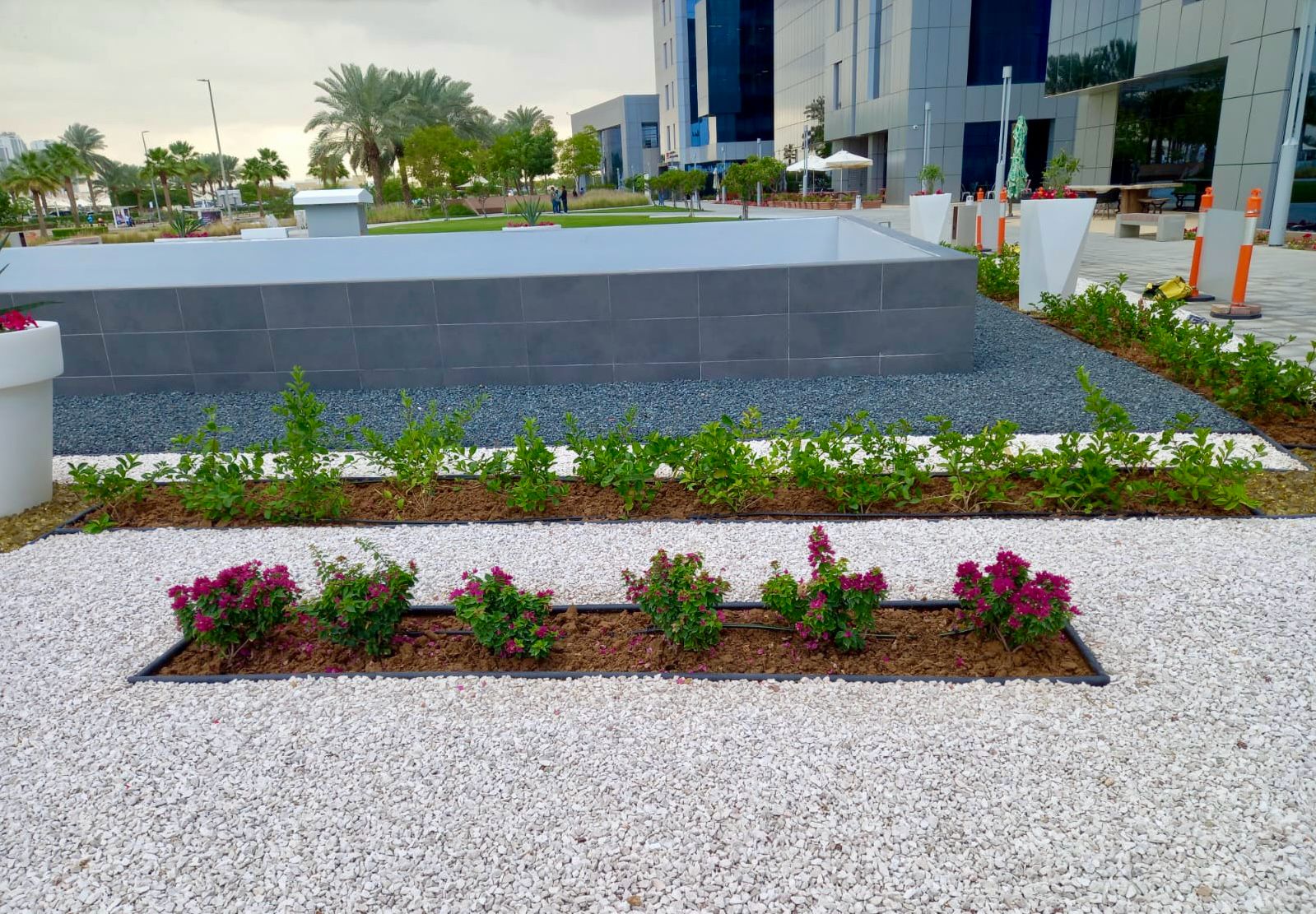 Landscape installation project in Dubai Studio City Dubai - Image 6