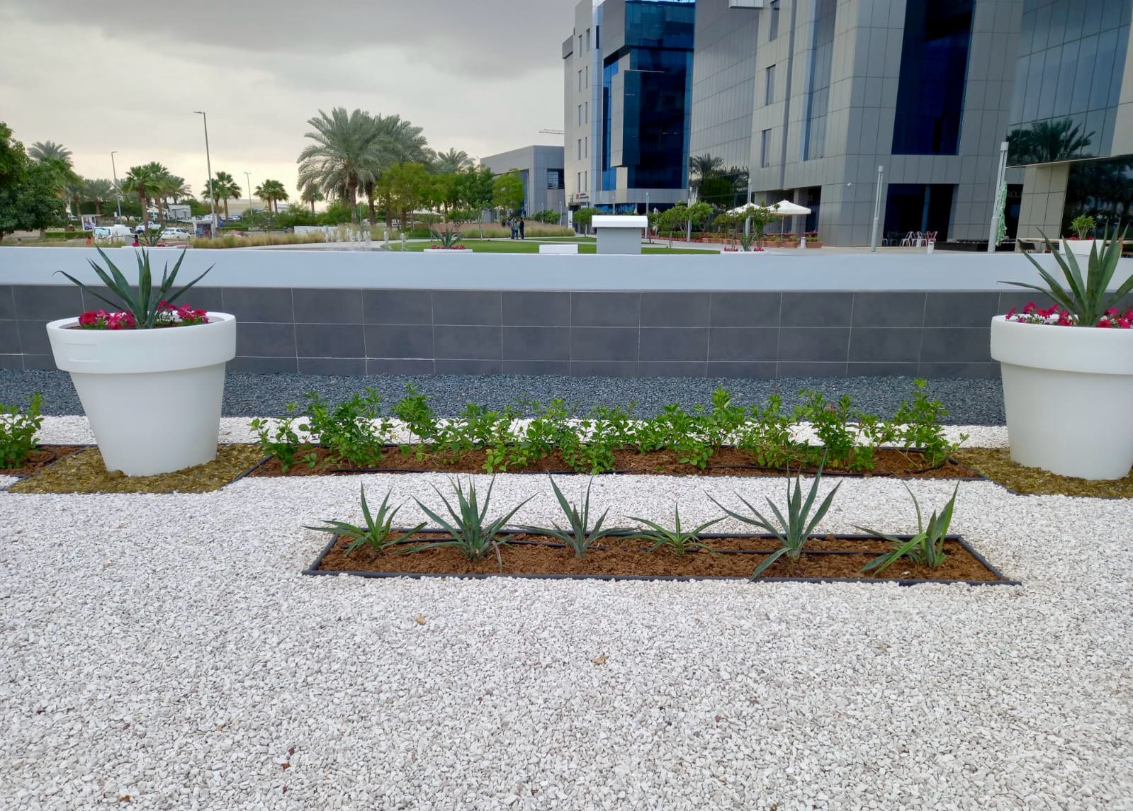 Landscape installation project in Dubai Studio City Dubai - Image 3