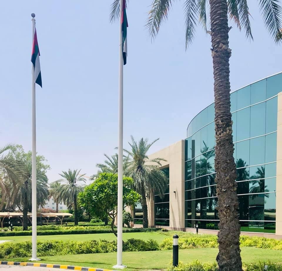 Landscape maintenance project at Etisalat Head Office Dubai - Image 3