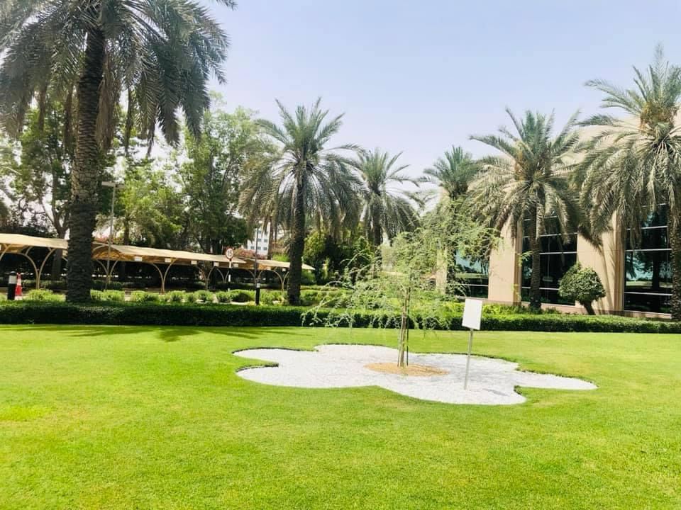 Landscape maintenance project at Etisalat Head Office Dubai - Image 4