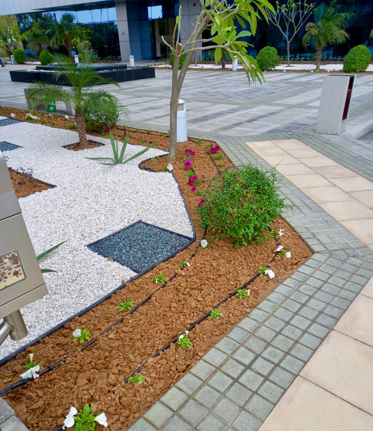 Landscape installation project in Dubai Studio City Dubai - Image 2