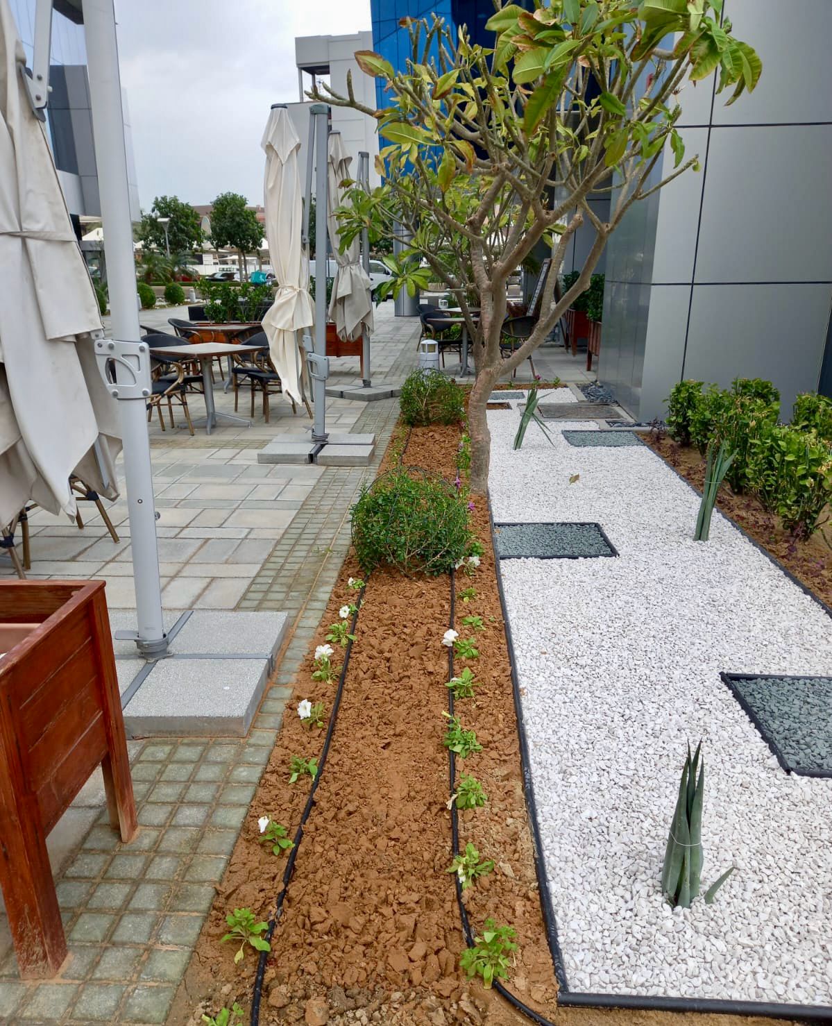 Landscape installation project in Dubai Studio City Dubai - Image 1