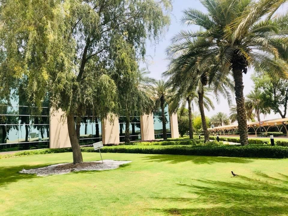 Landscape maintenance project at Etisalat Head Office Dubai - Image 1
