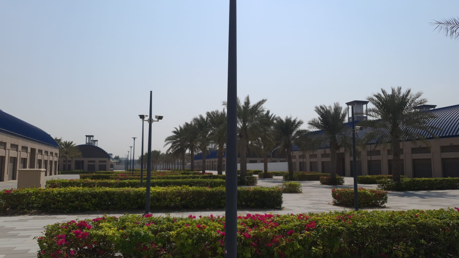 Landscape maintenance project at Souk Al Marfa Dubai commercial market area - Photo 5