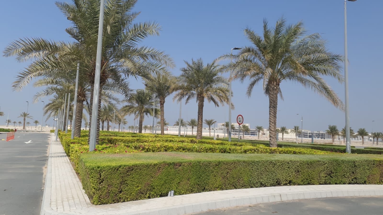 Landscape maintenance project at Souk Al Marfa Dubai commercial market area - Photo 4