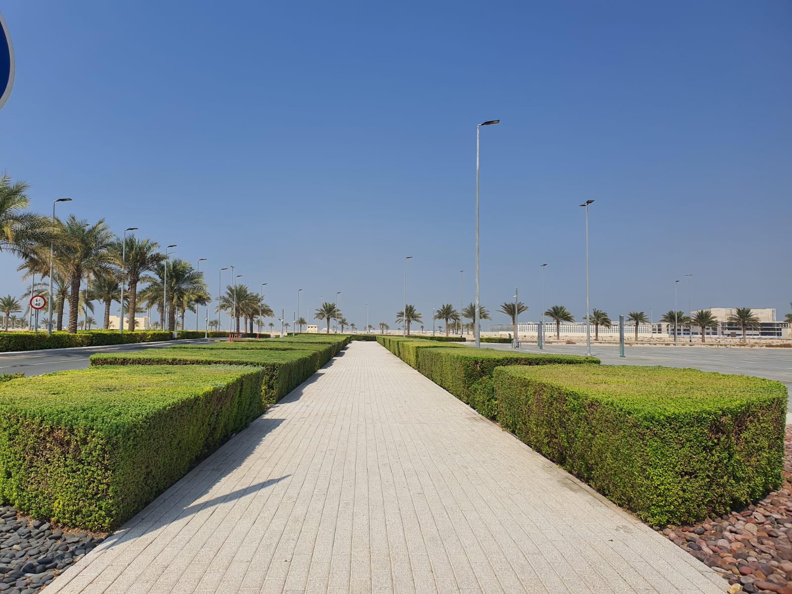 Landscape maintenance project at Souk Al Marfa Dubai commercial market area - Photo 2