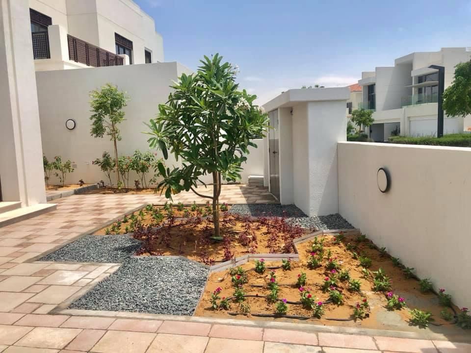 Villa swimming pool construction and landscape project in Mohammed Bin Rashid City Dubai - Photo 8