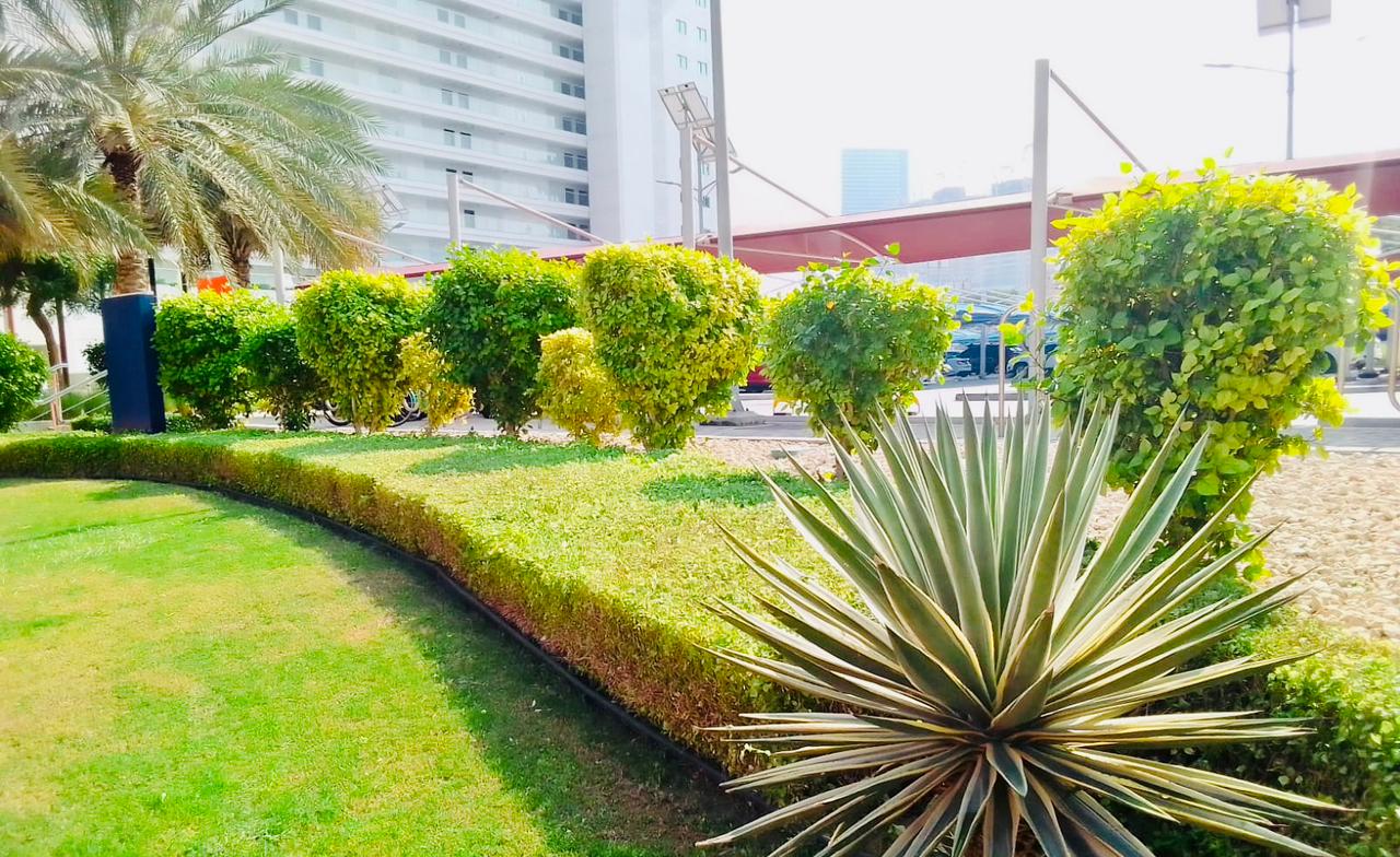 Palm Golden Miles- Garden and Landscape Maintenance Works, AMC