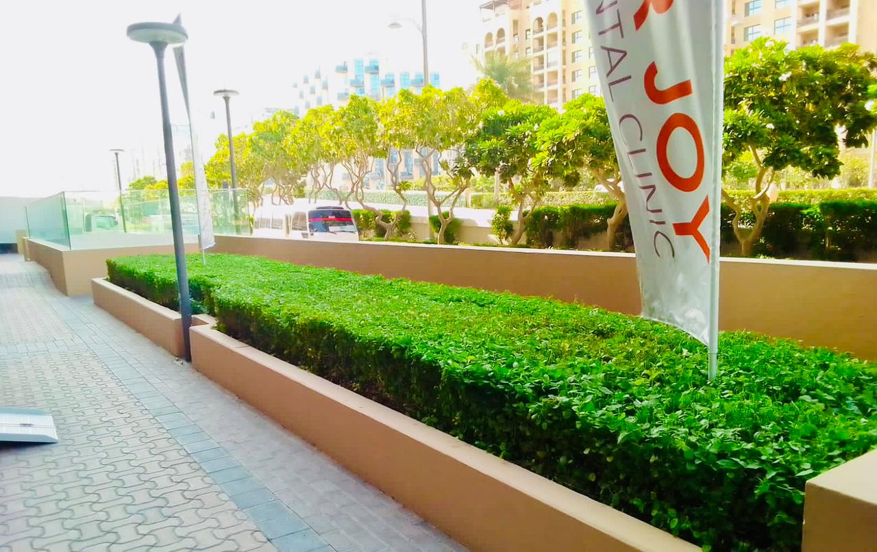 Landscape maintenance project at Palm Golden Mile Palm Jumeirah Dubai - Photo 2