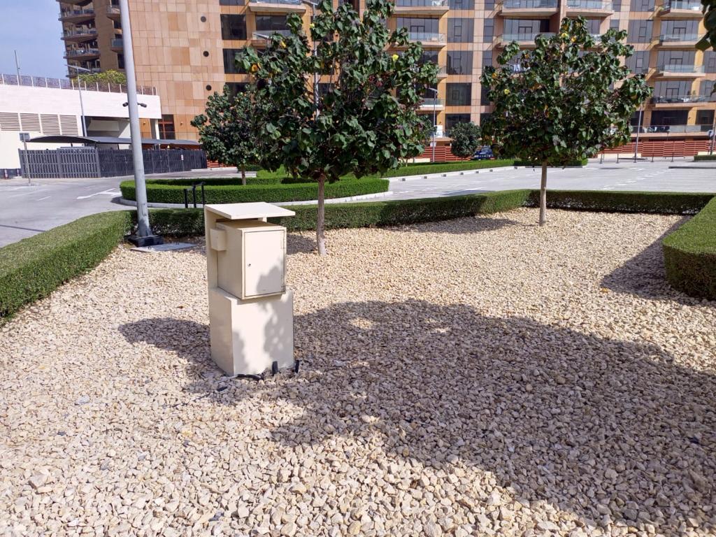 Landscape maintenance project at Palm Club Vista Palm Jumeirah Dubai - Photo 3