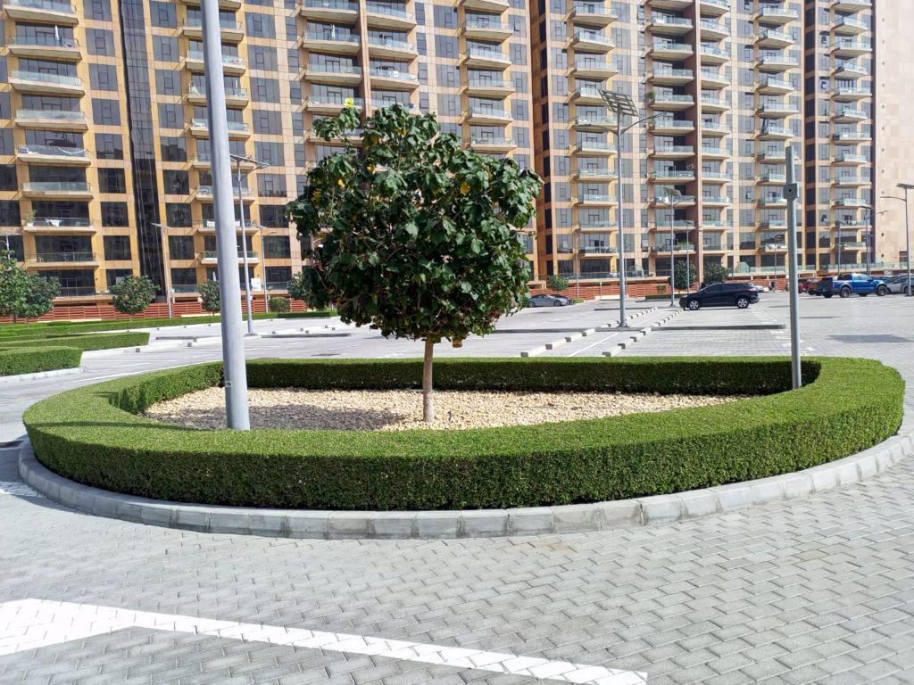 Palm club Vista - Garden and Landscape Maintenance Works, AMC