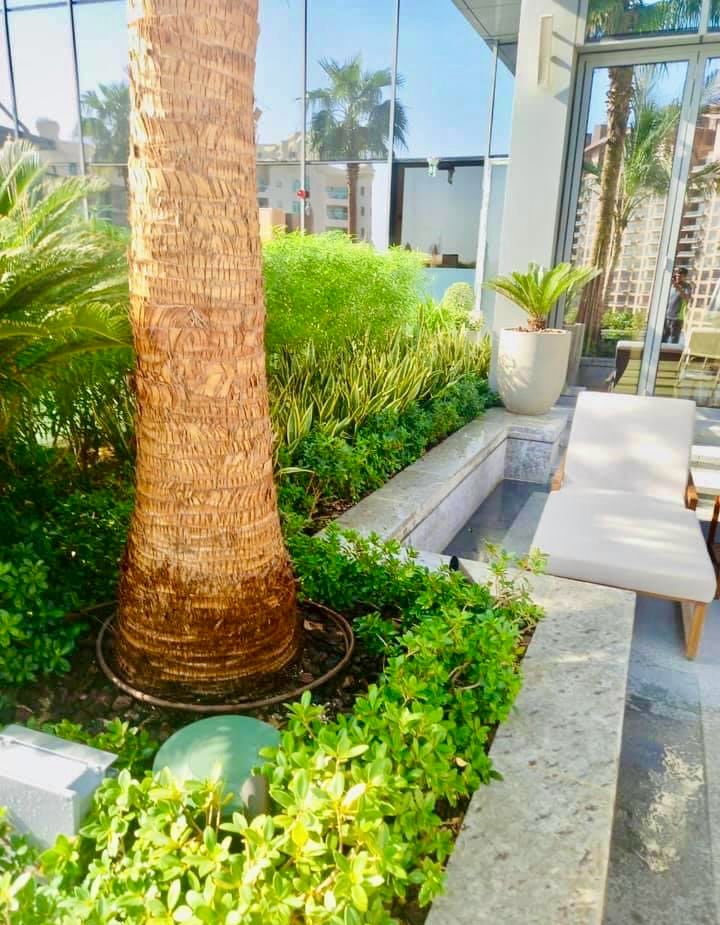 Landscape installation at St Regis Palm Jumeirah Dubai image 6
