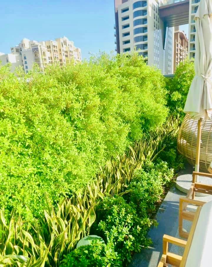 Landscape installation at St Regis Palm Jumeirah Dubai image 4