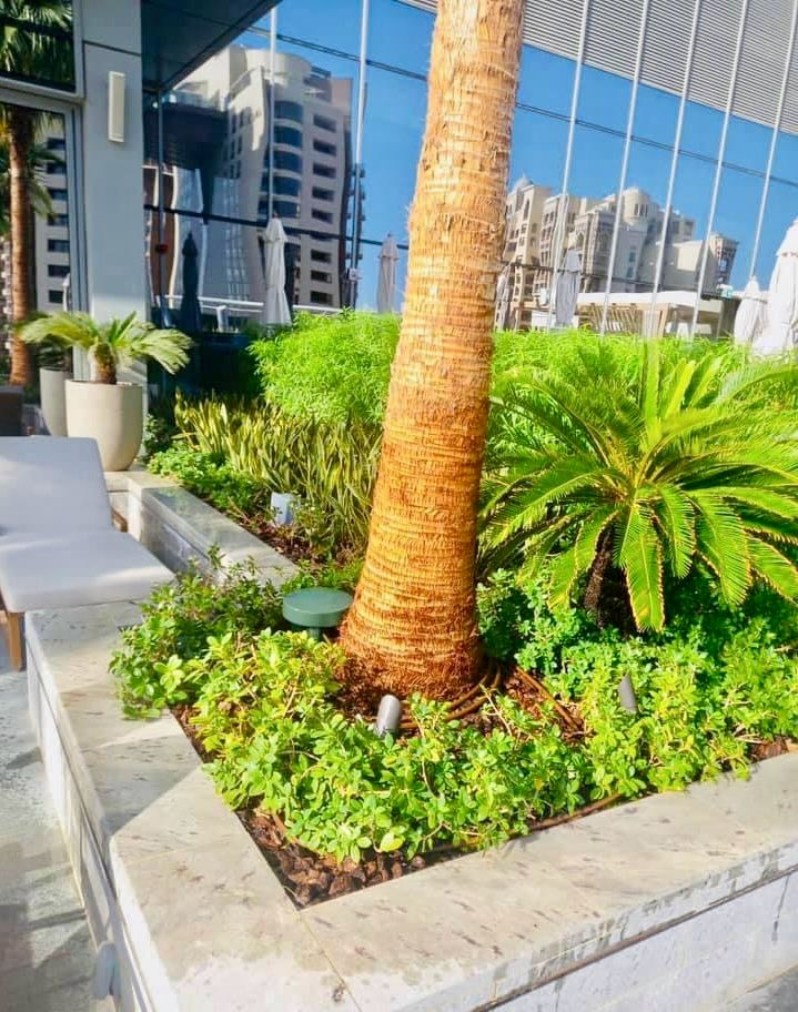 Landscape installation at St Regis Palm Jumeirah Dubai image 2