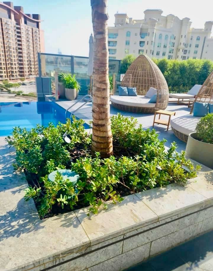 Landscape installation at St Regis Palm Jumeirah Dubai image 3