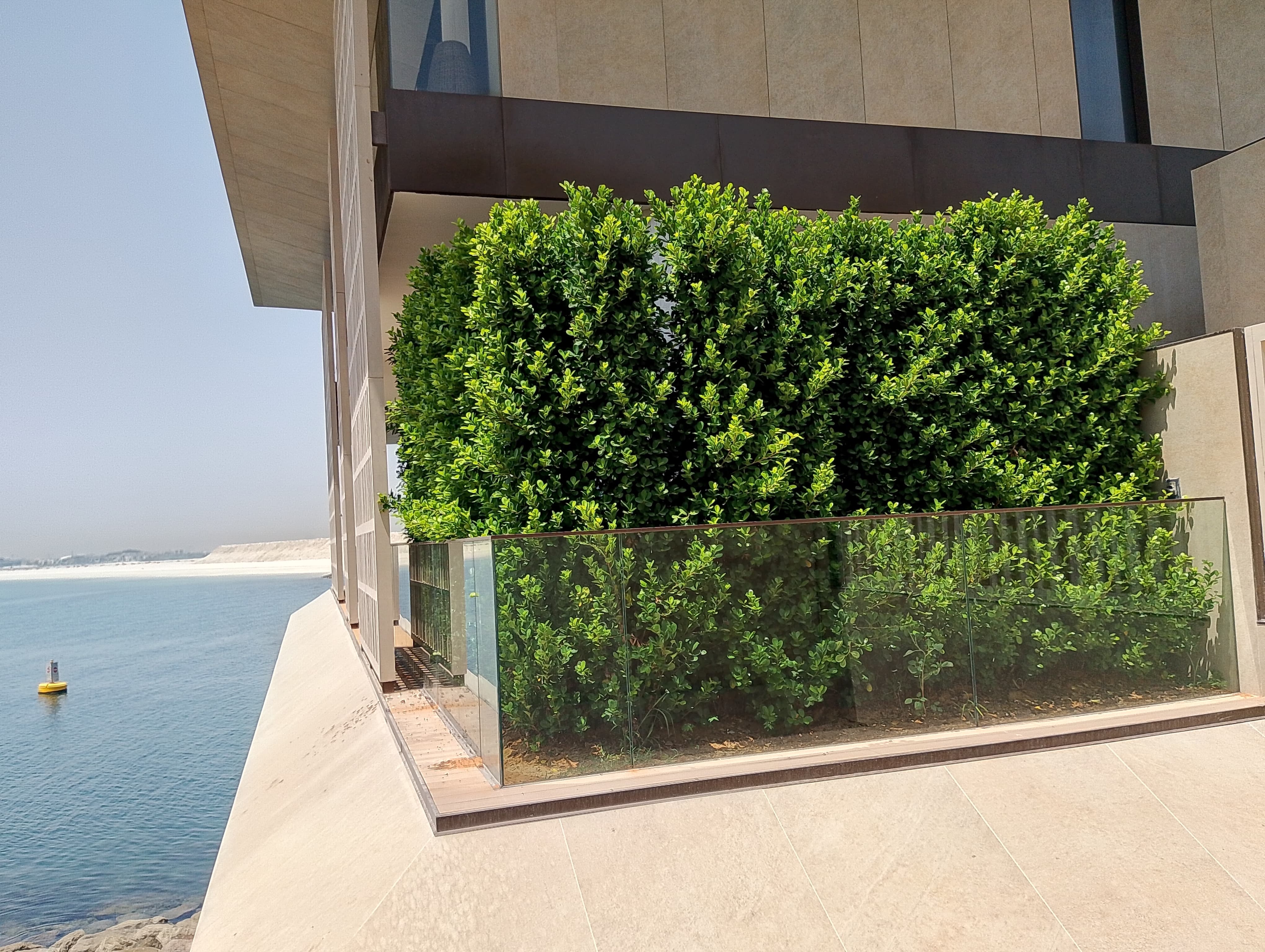 Indoor and outdoor plant maintenance at Villa CR7 Jumeirah Bay Dubai - Image 1
