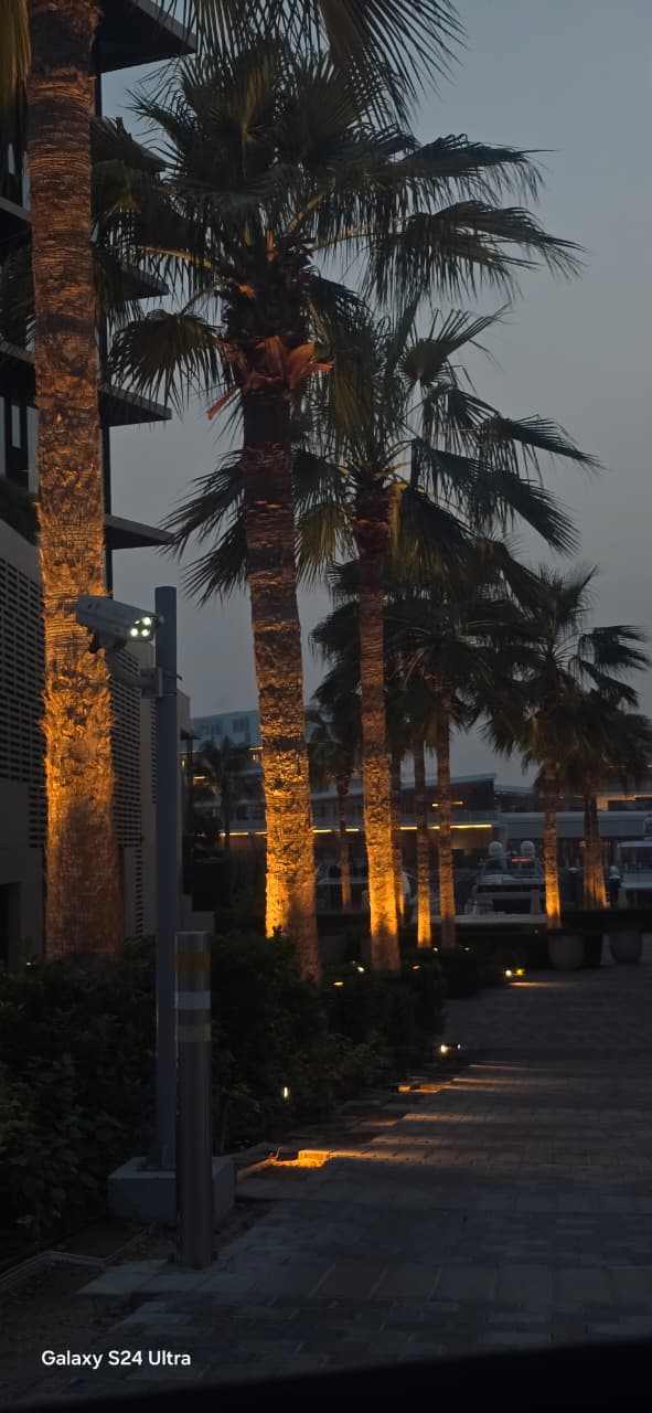 Landscape enhancement and palm tree lighting installation at Bulgari Resort & Residences Dubai - Image 3