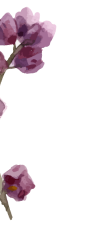 dan