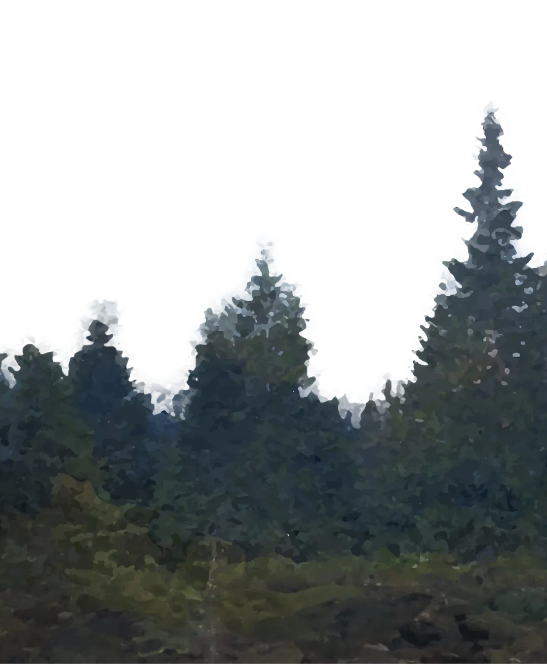 trees
