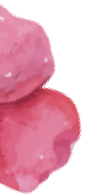 dan
