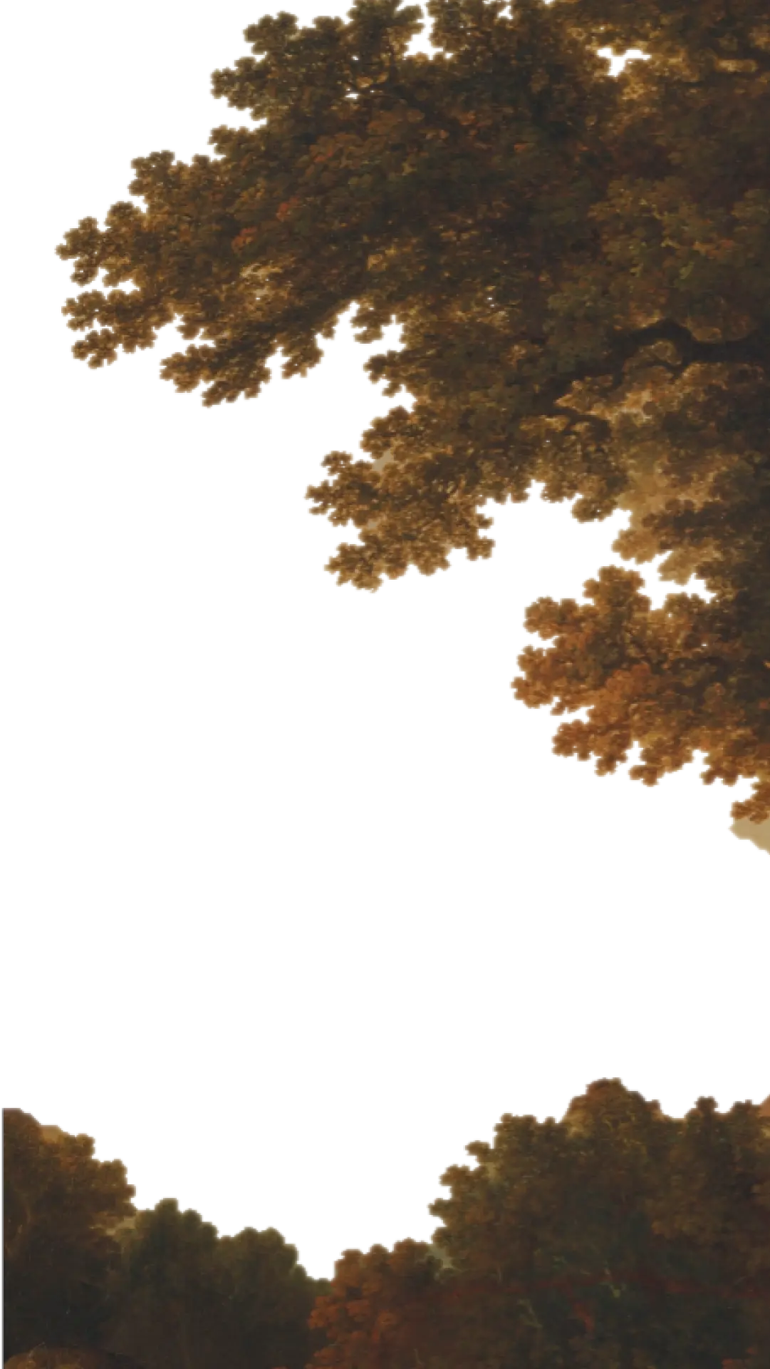 trees