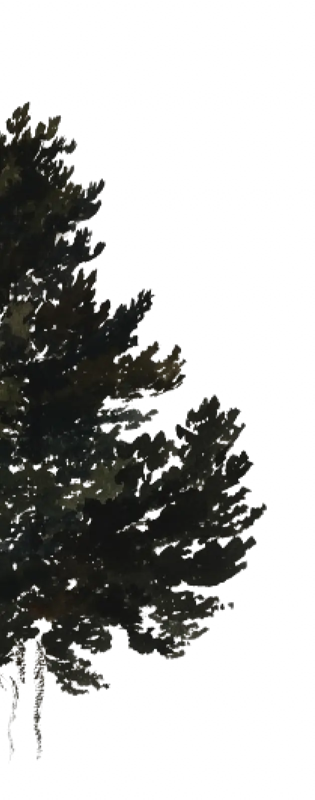 trees