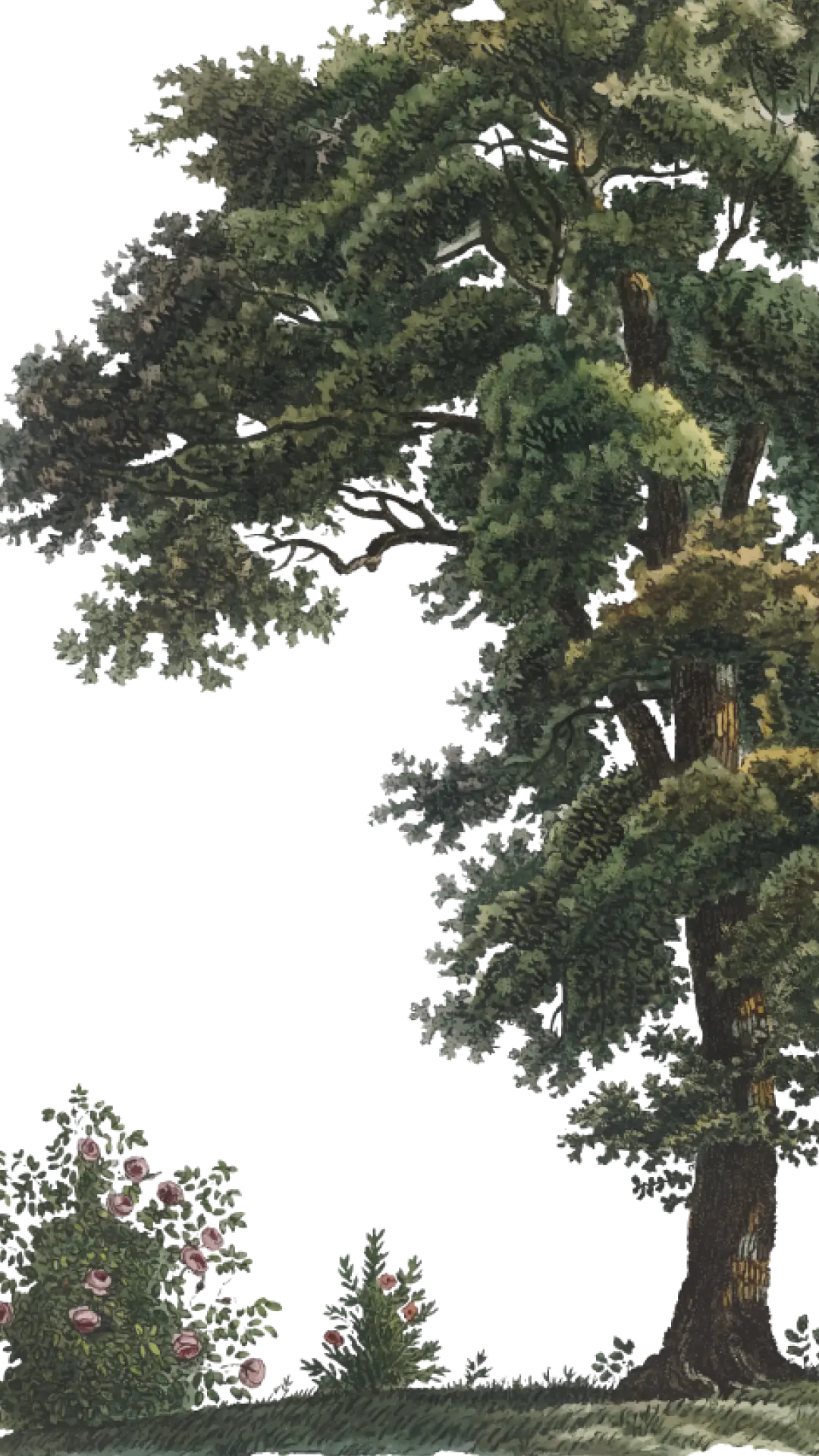 greenery